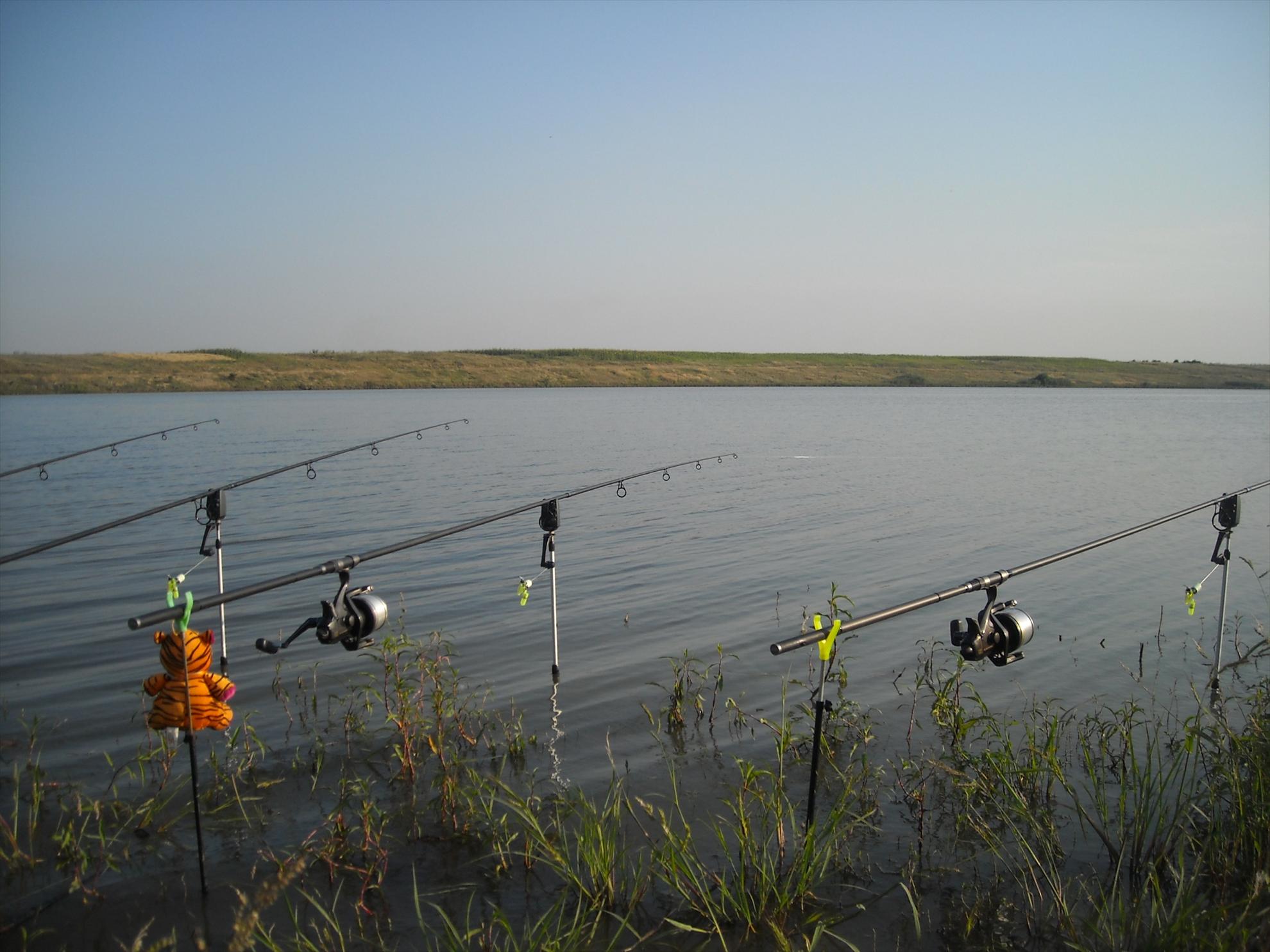 Cupa Romaniei - Hobaia 2010 - dscn6725.jpg